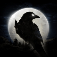 Night Crows